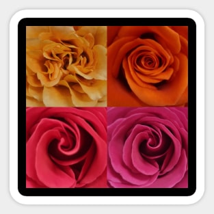 Roses Sticker